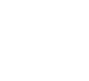 tafi prueba